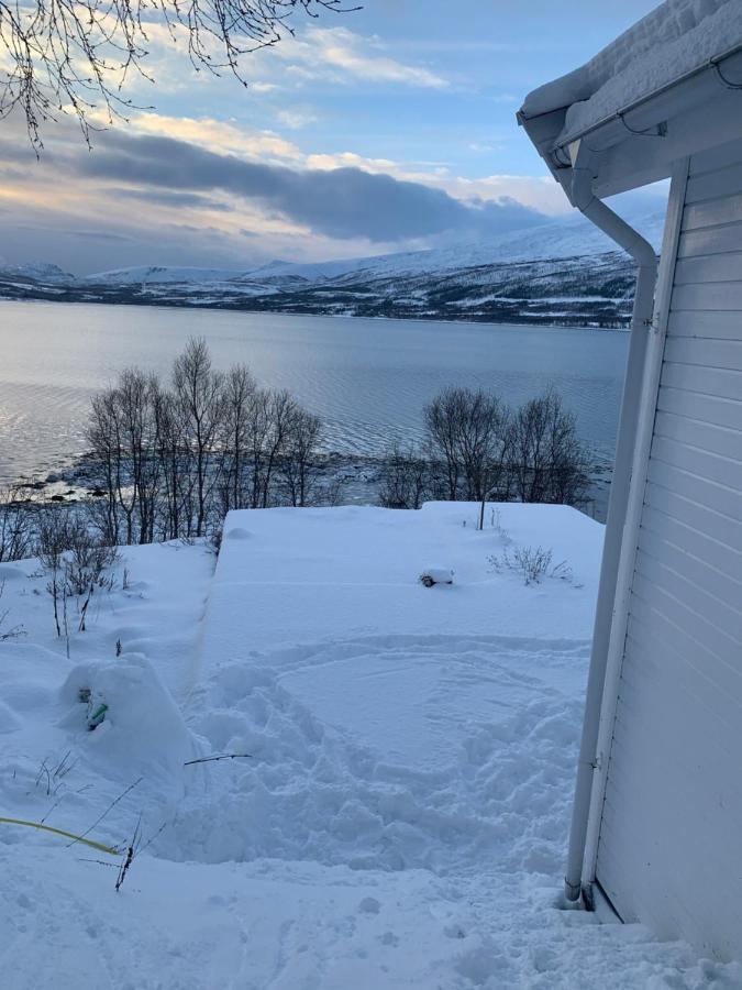 Hakoyveien 151, Tromso Hotel Luaran gambar