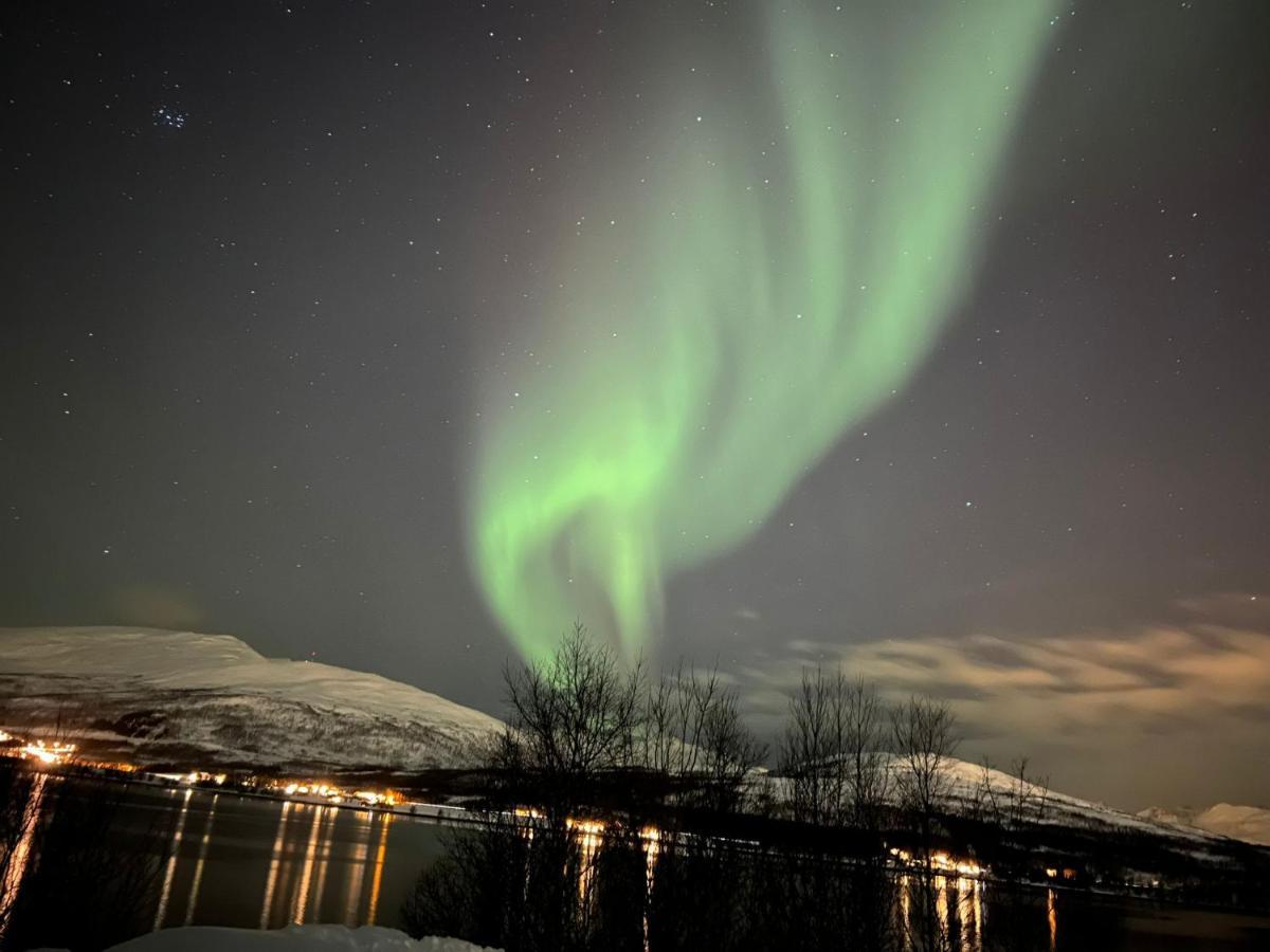 Hakoyveien 151, Tromso Hotel Luaran gambar