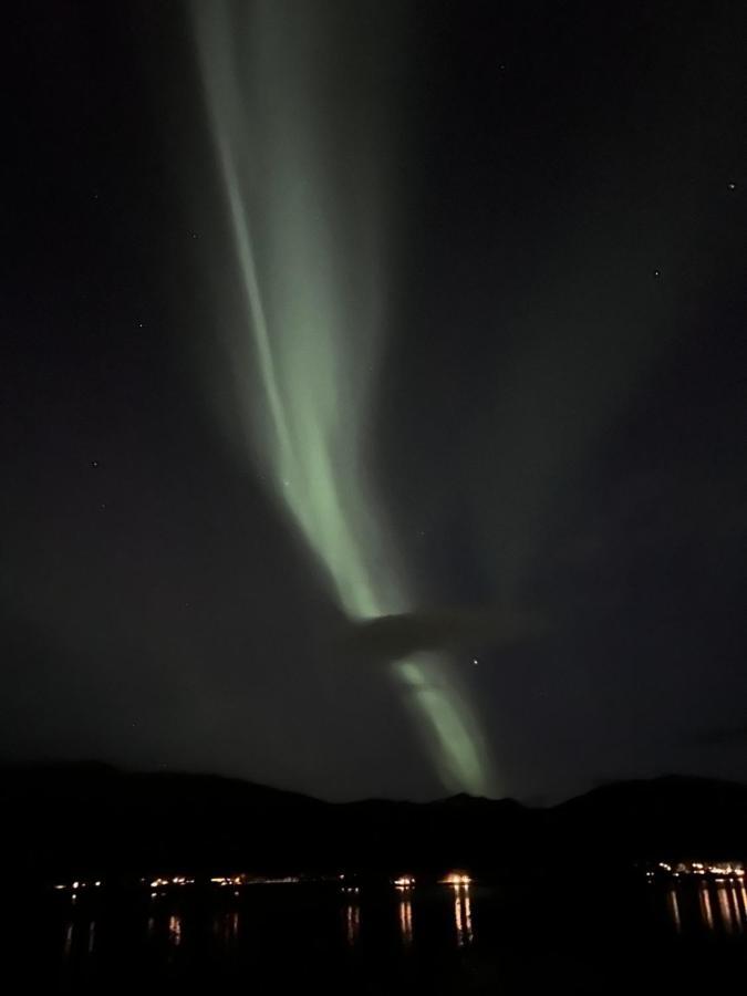 Hakoyveien 151, Tromso Hotel Luaran gambar