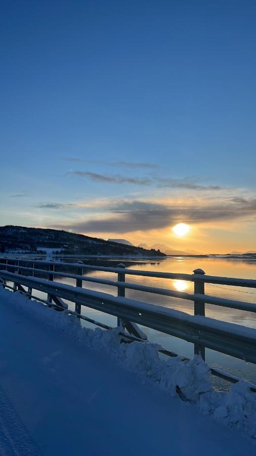 Hakoyveien 151, Tromso Hotel Luaran gambar