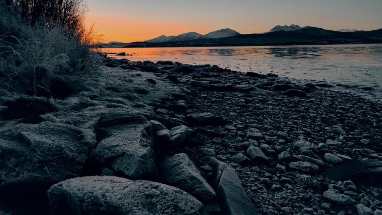 Hakoyveien 151, Tromso Hotel Luaran gambar