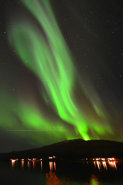 Hakoyveien 151, Tromso Hotel Luaran gambar